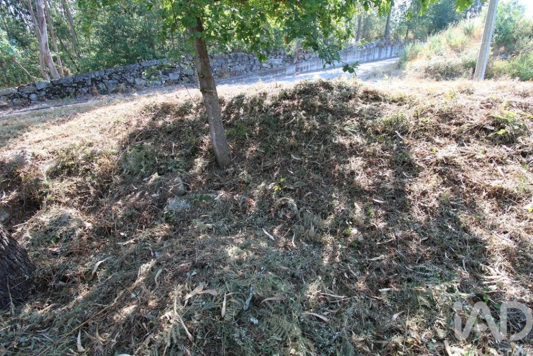 Terreno para Venda em Ruivães e Novais Foto 12