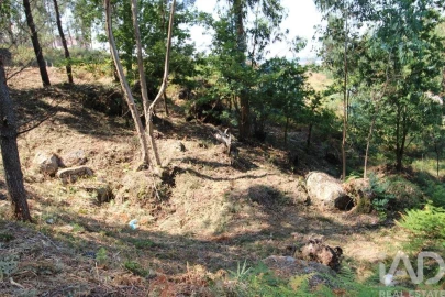 Terreno para Venda em Ruivães e Novais