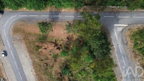 Terreno para Venda em Ruivães e Novais