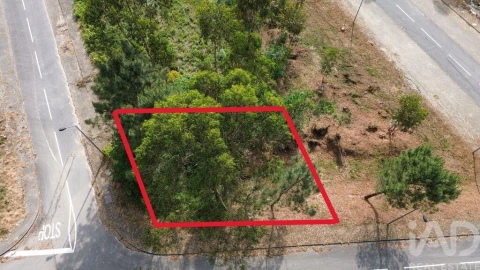 Terreno para Venda em Ruivães e Novais