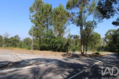 Terreno para Venda em Ruivães e Novais