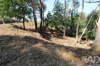 Terreno para Venda em Ruivães e Novais