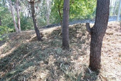 Terreno para Venda em Ruivães e Novais