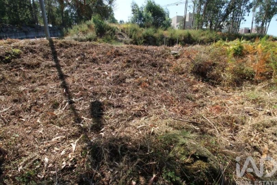 Terreno para Venda em Ruivães e Novais