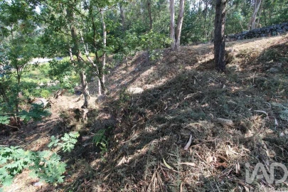 Terreno para Venda em Ruivães e Novais