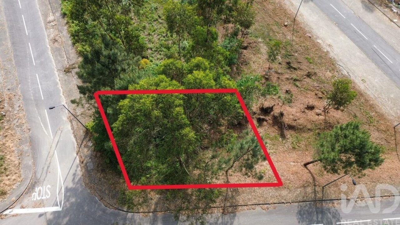 Terreno para Venda em Ruivães e Novais Foto 1
