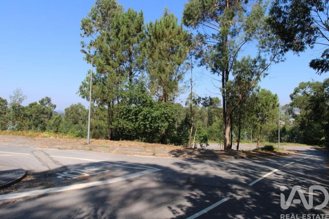 Terreno para Venda em Ruivães e Novais Foto 4