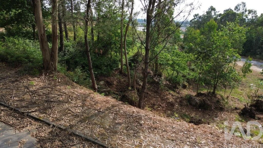 Terreno para Venda em Ruivães e Novais Foto 3