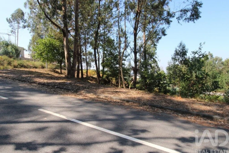 Terreno para Venda em Ruivães e Novais Foto 3