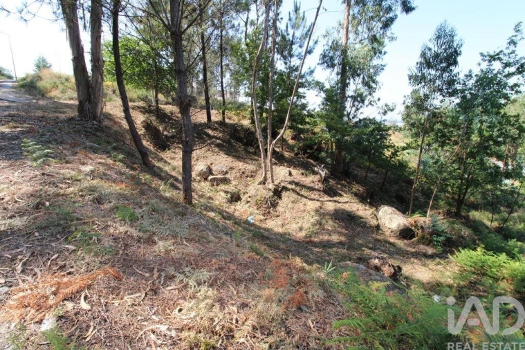Terreno para Venda em Ruivães e Novais Foto 7