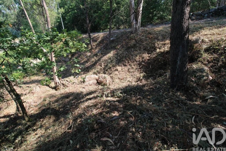 Terreno para Venda em Ruivães e Novais Foto 11