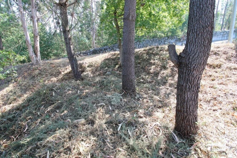 Terreno para Venda em Ruivães e Novais Foto 13