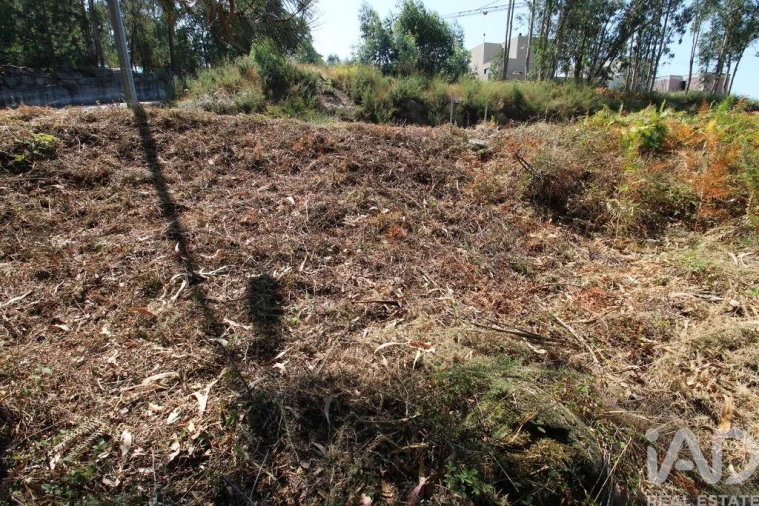 Terreno para Venda em Ruivães e Novais Foto 14