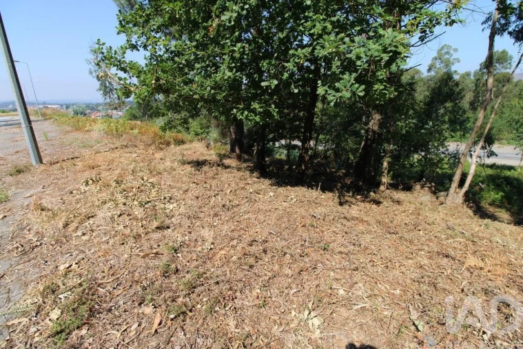 Terreno para Venda em Ruivães e Novais Foto 8