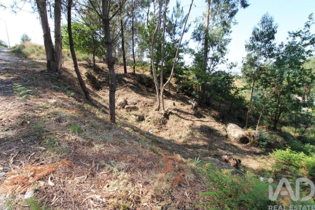 Terreno para Venda em Ruivães e Novais Foto 7