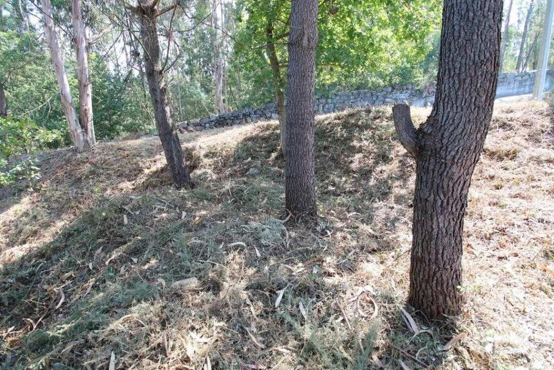 Terreno para Venda em Ruivães e Novais Foto 13