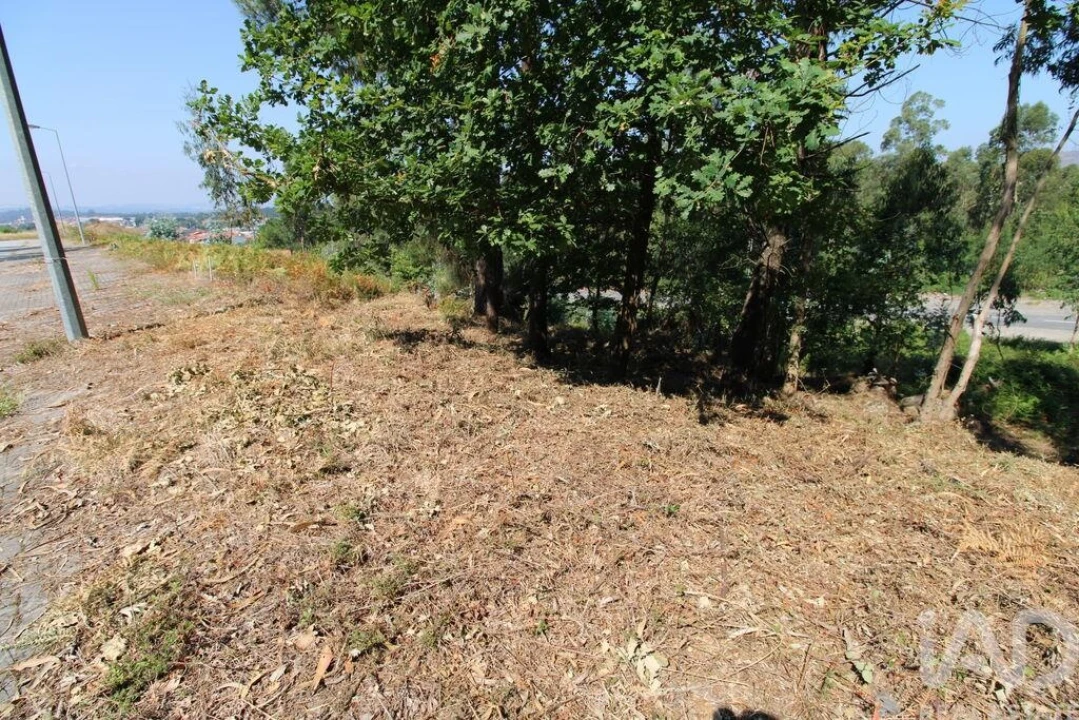 Terreno para Venda em Ruivães e Novais Foto 8