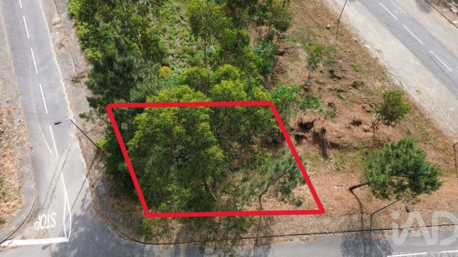 Terreno para Venda em Ruivães e Novais