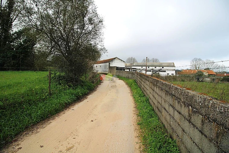 Terreno para Venda em Palmela Foto 4