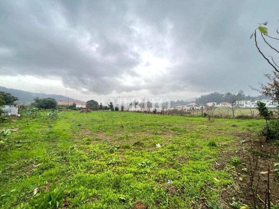 Terreno para Venda em Alheira e Igreja Nova Foto 6