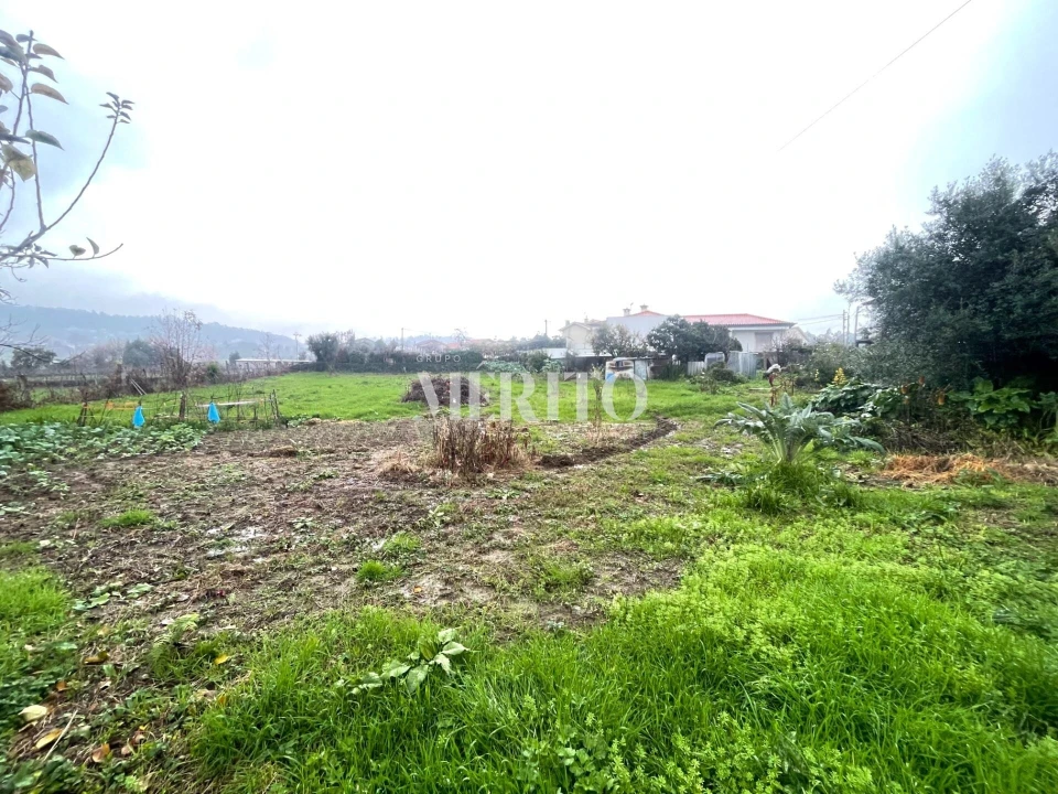 Terreno para Venda em Alheira e Igreja Nova Foto 9