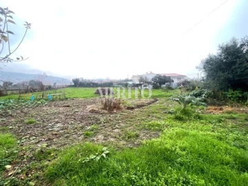 Terreno para Venda em Alheira e Igreja Nova