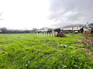 Terreno para Venda em Alheira e Igreja Nova