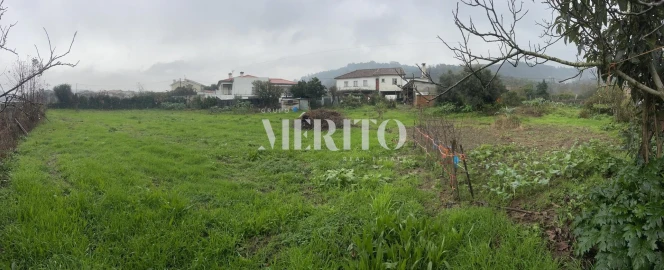 Terreno para Venda em Alheira e Igreja Nova