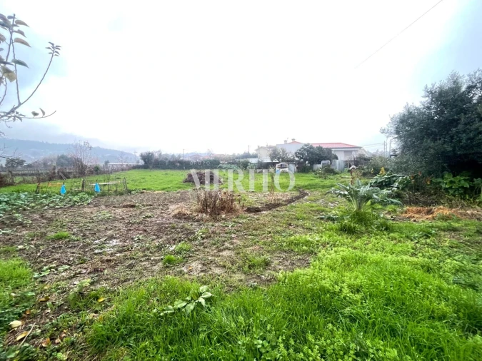 Terreno para Venda em Alheira e Igreja Nova Foto 9