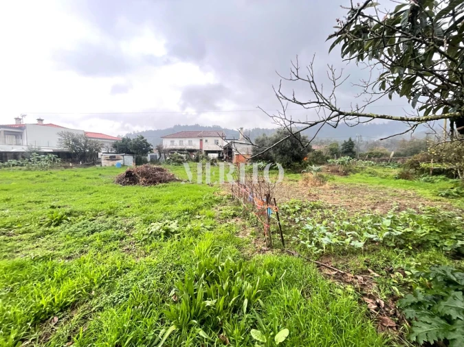 Terreno para Venda em Alheira e Igreja Nova Foto 7