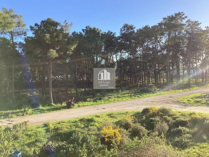 Moradia T3 para Venda em Charneca de Caparica e Sobreda Foto 65