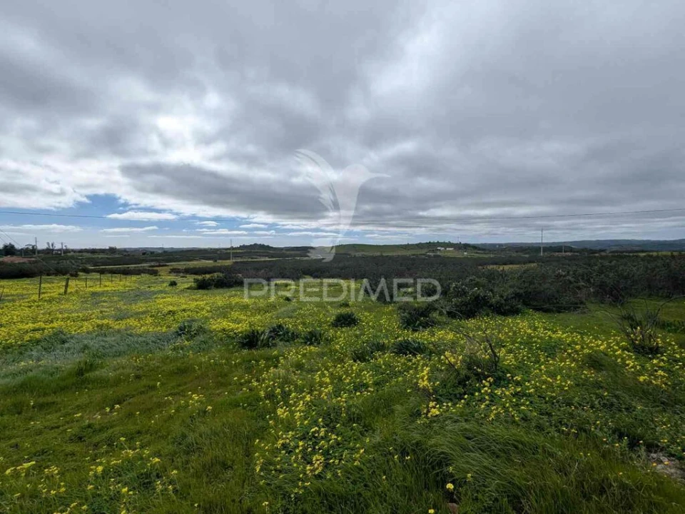 Terreno para Venda em Azinhal Foto 16