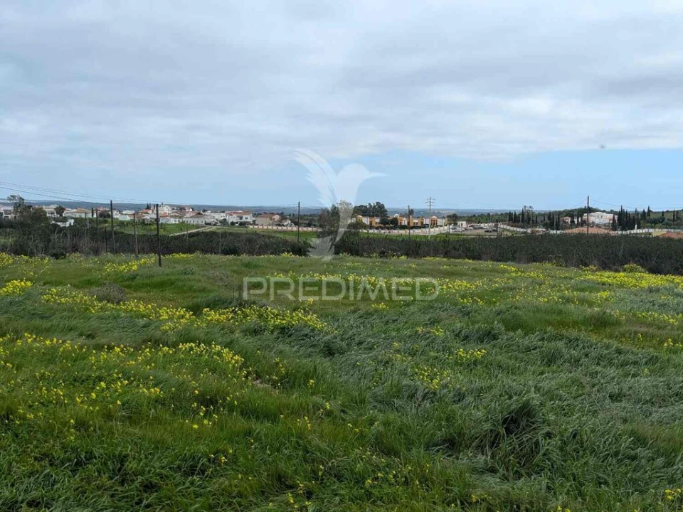 Terreno para Venda em Azinhal Foto 17