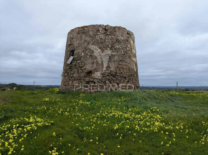 Terreno para Venda em Azinhal Foto 18