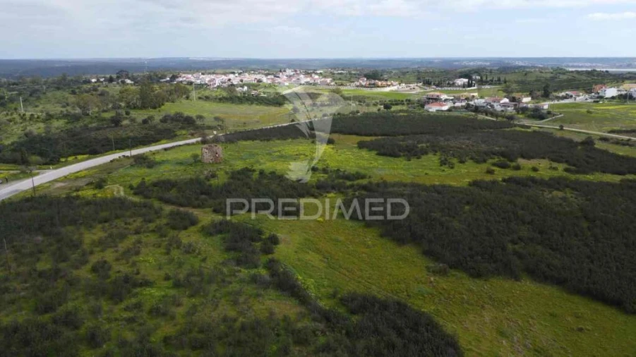 Terreno para Venda em Azinhal Foto 3