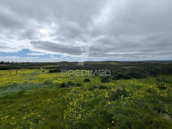 Terreno para Venda em Azinhal Foto 16