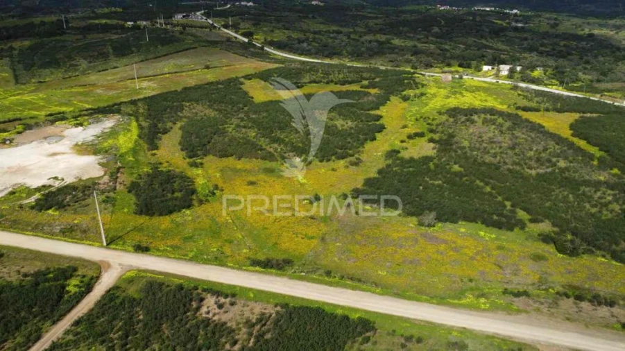 Terreno para Venda em Azinhal Foto 6