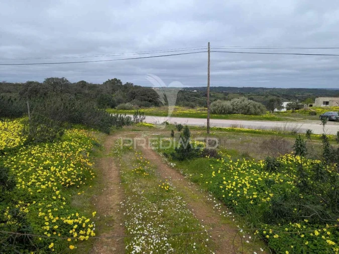 Terreno para Venda em Azinhal Foto 13