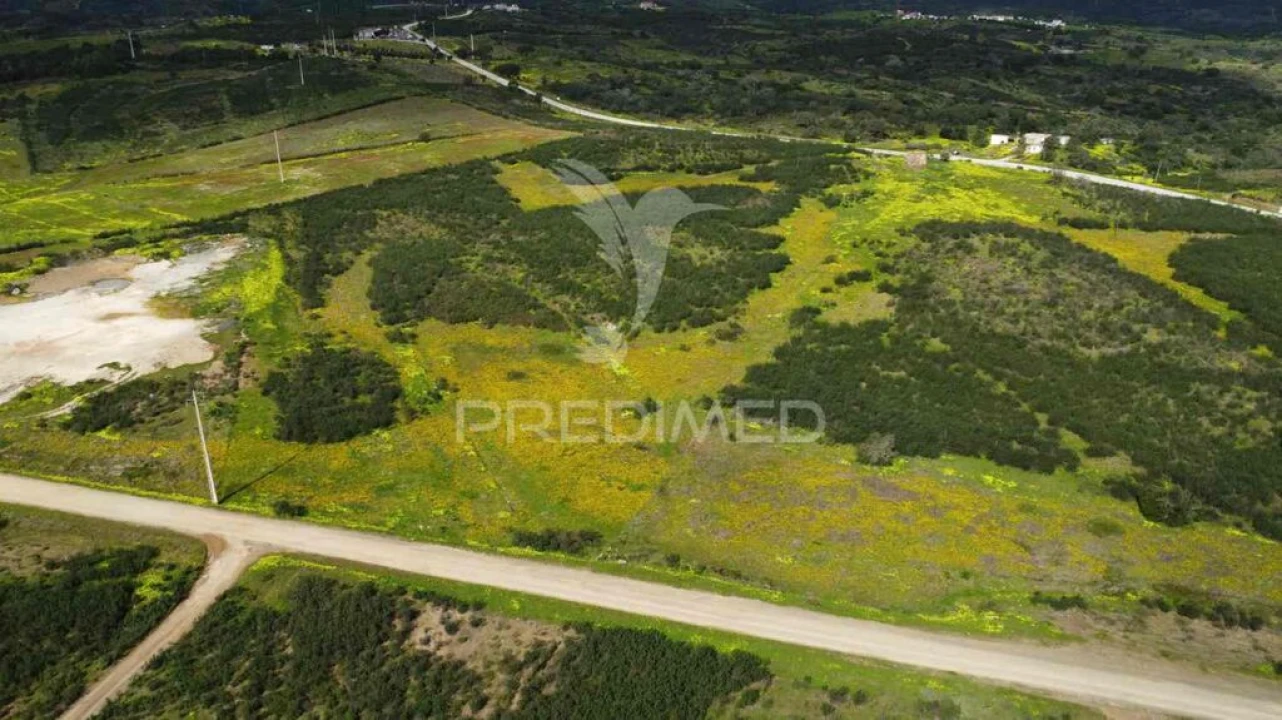 Terreno para Venda em Azinhal Foto 6