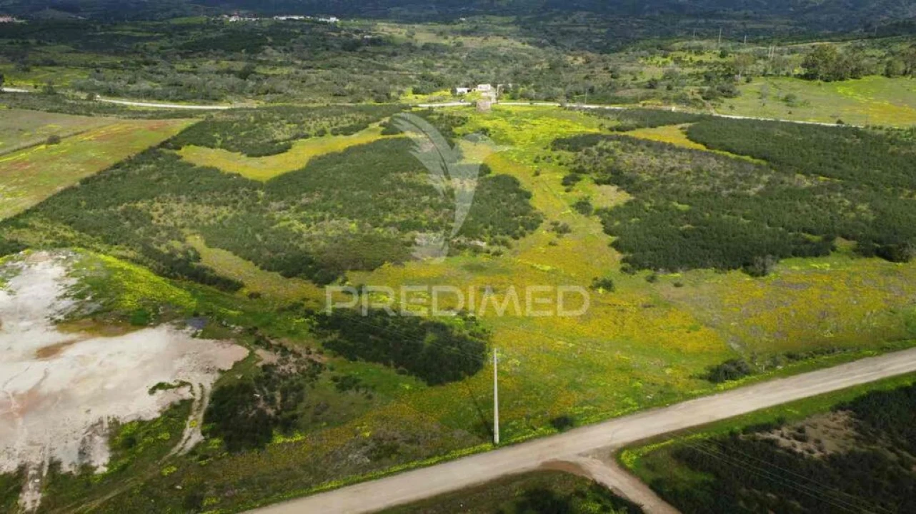 Terreno para Venda em Azinhal Foto 5