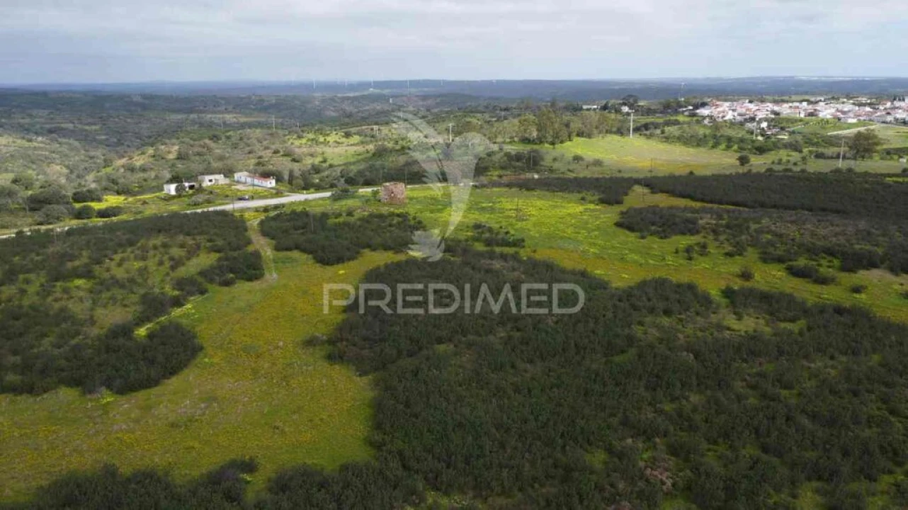 Terreno para Venda em Azinhal Foto 4