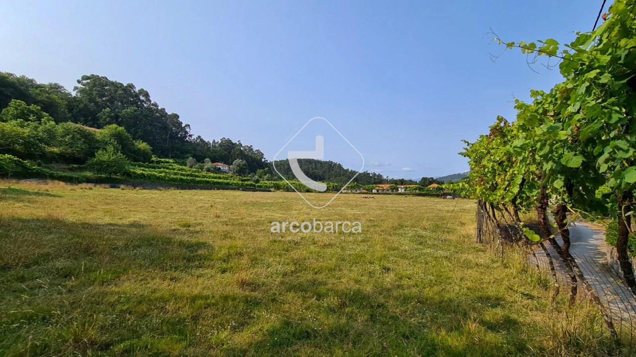 Terreno para Venda em Valbom (São Pedro), Passô e Valbom (São Martinho) Foto 15