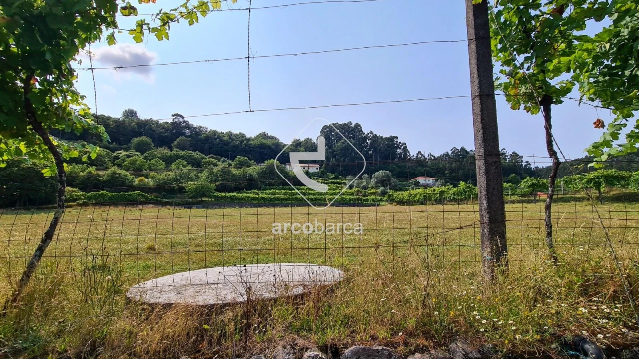 Terreno para Venda em Valbom (São Pedro), Passô e Valbom (São Martinho) Foto 21