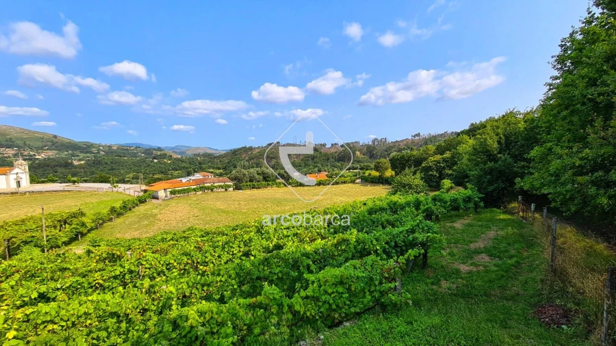 Terreno para Venda em Valbom (São Pedro), Passô e Valbom (São Martinho) Foto 7