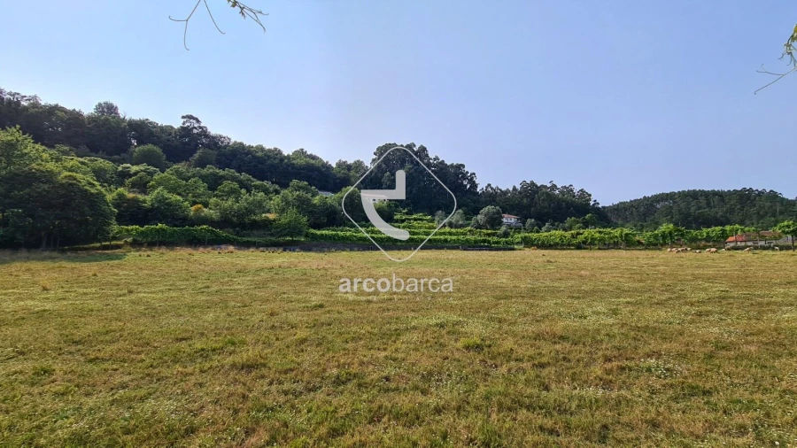 Terreno para Venda em Valbom (São Pedro), Passô e Valbom (São Martinho) Foto 19