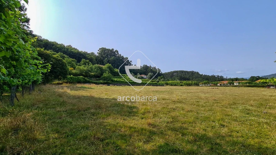 Terreno para Venda em Valbom (São Pedro), Passô e Valbom (São Martinho) Foto 16