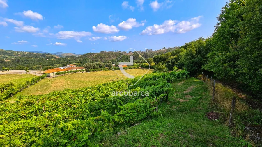 Terreno para Venda em Valbom (São Pedro), Passô e Valbom (São Martinho) Foto 9