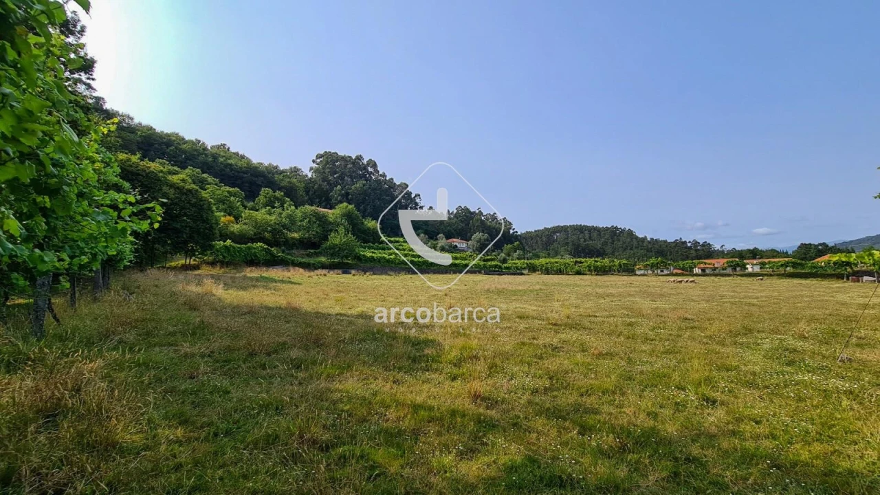 Terreno para Venda em Valbom (São Pedro), Passô e Valbom (São Martinho) Foto 16