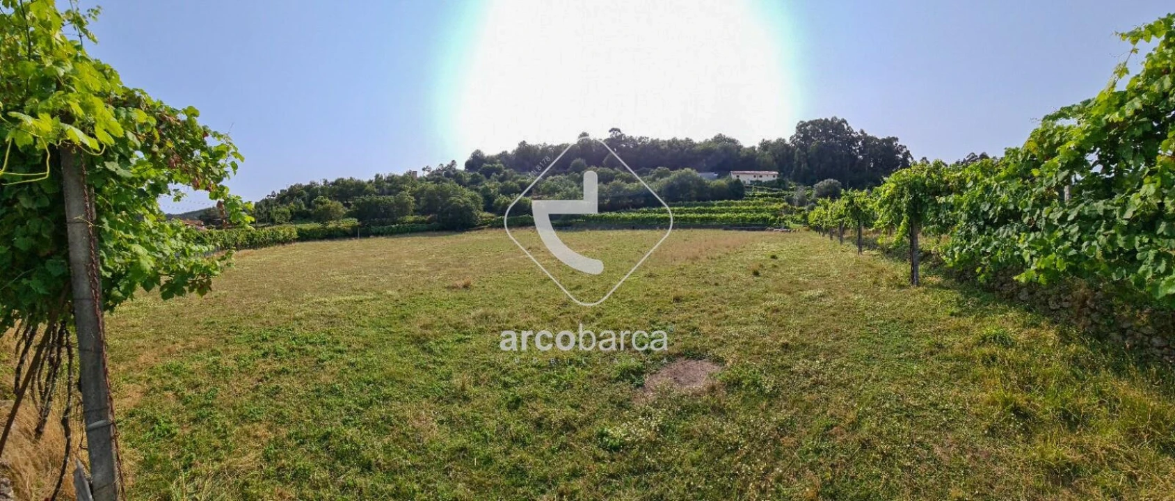 Terreno para Venda em Valbom (São Pedro), Passô e Valbom (São Martinho) Foto 20
