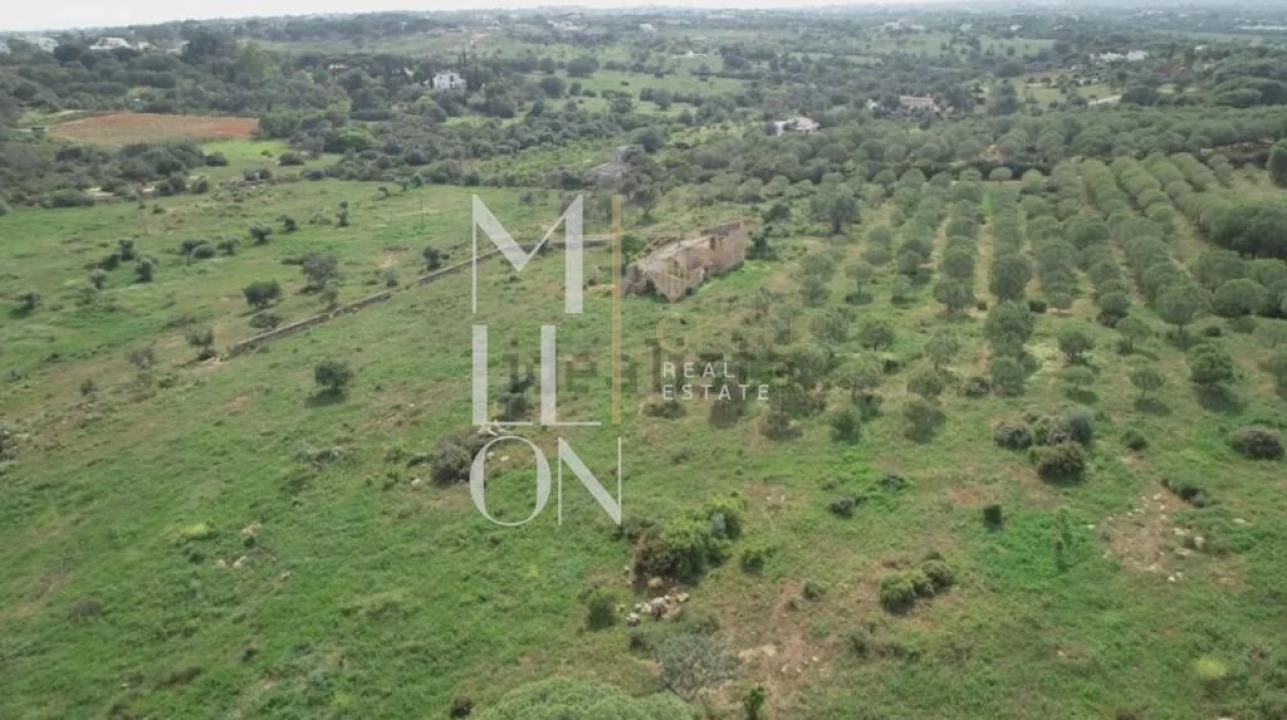 Quinta T4 para Venda em Lagoa e Carvoeiro Foto 5